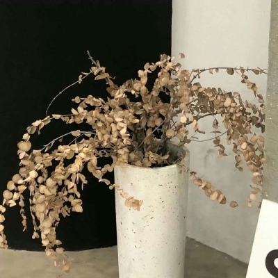 兽设质感表现实用教程FurryQQ群